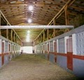 Misty Mountain Stables image 2