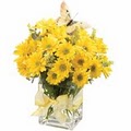 Nanz & Kraft Florists image 4