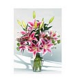 Nanz & Kraft Florists image 1