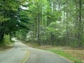 Natchez Trace State Park and Frst image 2