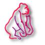 Pink Gorilla Motorcycles logo