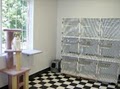 Quioccasin Veterinary Hospital image 10