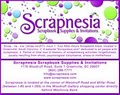 Scrapnesia image 1