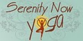 Serenity Now Yoga & Holistic Wellness Center image 6