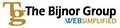 The Bijnor Group, LLC logo