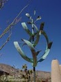 The Desert Lily B&B image 4