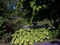 University of Washington Botanic Gardens logo