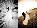 Westlake Village Wedding Photographer Jessica Lewis Photography image 2