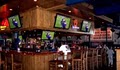 Wild Wing Cafe image 1