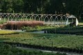 Williams Plant Nursery image 1
