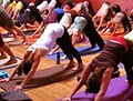 Yoga Teacher Training & Certification image 5