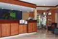 Albuquerque Airport Fairfield Inn by Marriott image 3