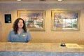 Best Western Mountain View image 4