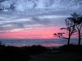 Cape Lookout State Park image 1