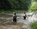 ElkSprings Flyshop image 4