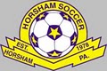 Horsham Soccer Association image 1