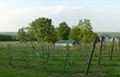 Priam Vineyards image 2