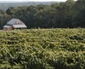 Priam Vineyards image 4