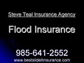 Steve Teal Insurance Agency image 5