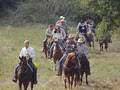 Texas Livestock Rentals image 2