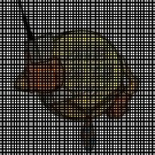 The Local Mobile Marketing Guy logo