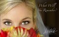 Westrich Photography - Wedding Photography, Family Portraits, Photographer logo