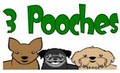 3 Pooches Pet Sitting & Doggy Adventures logo