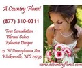 A Country Florist logo