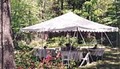 A1 Tents and Party Rentals image 10