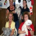 Affordable Pet Services image 2