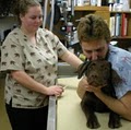 Airport Pet Clinic image 1