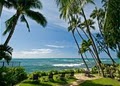 Ali'i Beach Rentals image 2