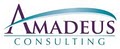 Amadeus Consulting Group Inc image 2