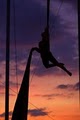 Andrea Fors, Aerialist Performer image 2