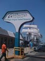 Anthony's Fish Grotto image 10