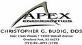 Apex Endodontics logo