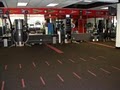 Arena Fitness image 7