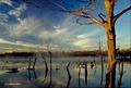 Armand Bayou Nature Center image 1