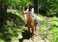 Ashokan Horseback Riding Club image 2