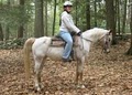 Ashokan Horseback Riding Club image 3