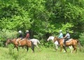 Ashokan Horseback Riding Club image 4