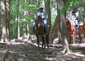 Ashokan Horseback Riding Club logo