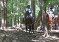 Ashokan Horseback Riding Club image 1