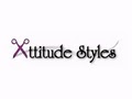 Attitude Styles image 1