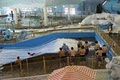 Avalanche Bay Indoor Waterpark image 4