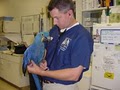 Avian & Exotic Animal Care, PA image 2