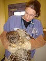 Avian & Exotic Animal Care, PA image 4
