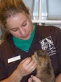 Avian & Exotic Animal Care, PA image 8