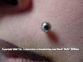 Axiom Body Piercing Studio image 2