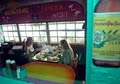 Baja Cafe Uno image 3